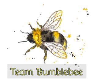 Team Bumblebee